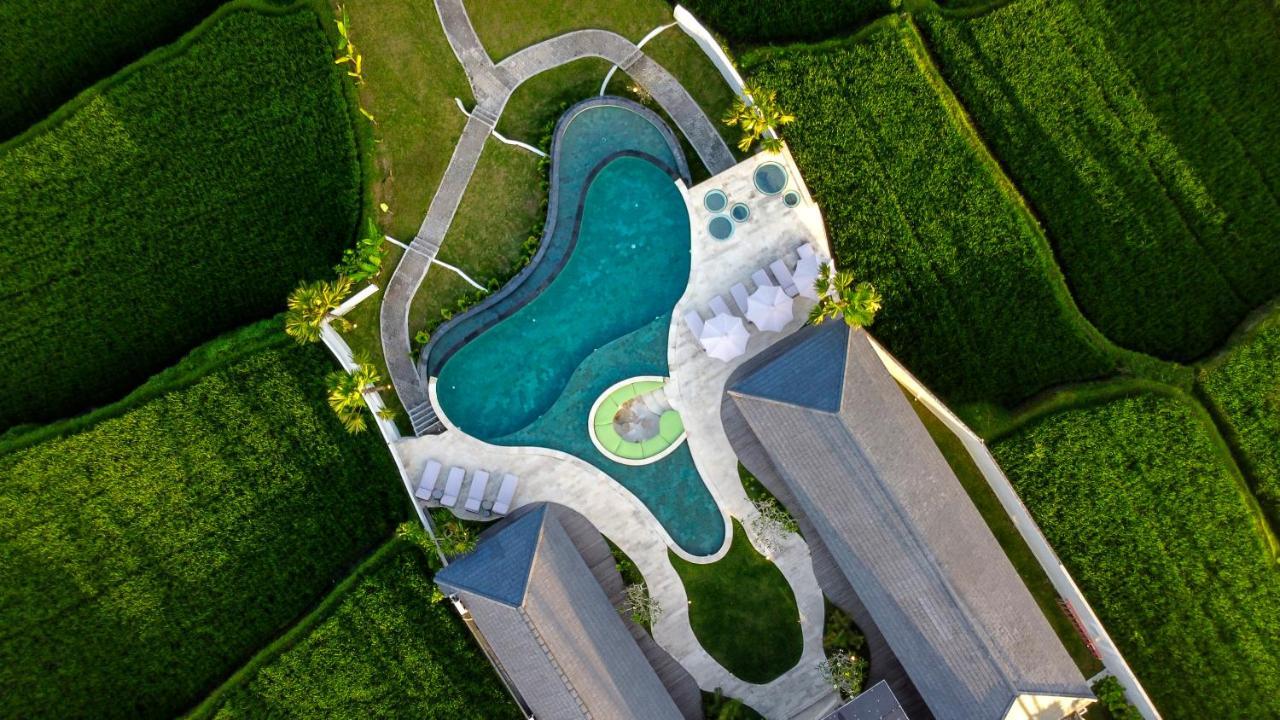 Villa Paradise By Balisuperhost Ubud  Bagian luar foto
